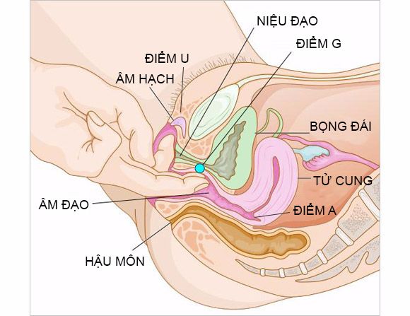 diem-g-cua-phu-nu 2