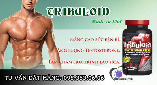 Thuốc Tribuloid điều trị mãn dục nam